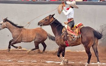 Charritos de Oro