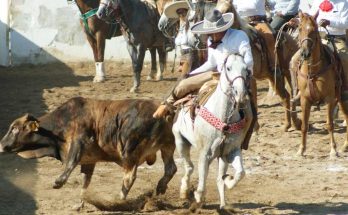 Cintalapa, Torneo Profe Neto, Valle de Cintalapa