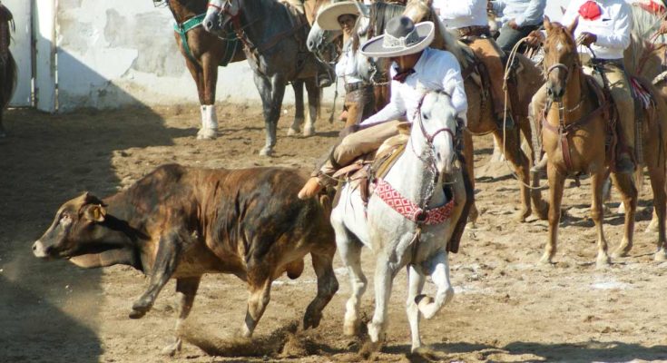 Cintalapa, Torneo Profe Neto, Valle de Cintalapa