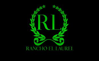 Rancho El Laurel, Regresa 2024