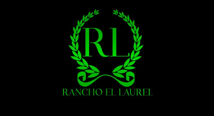 Rancho El Laurel, Regresa 2024