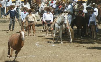 Torneo Lacandón 2023, Ocosingo