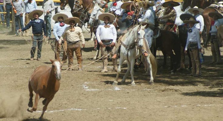 Torneo Lacandón 2023, Ocosingo