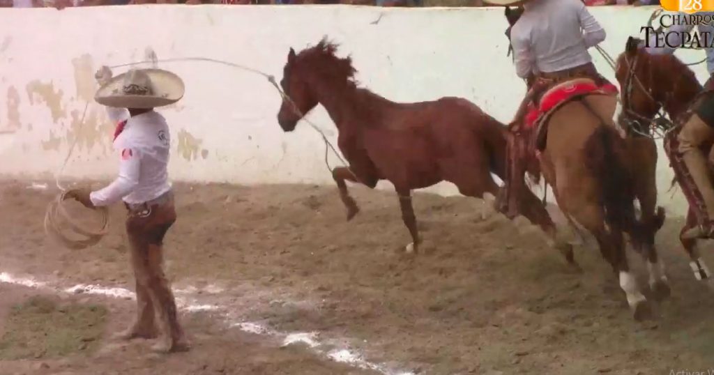 Carlos Vázquez, Murillo Ranch