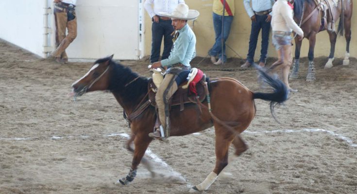 Hacienda Santa Teresa, Torneo Pícaro Mayor 2024