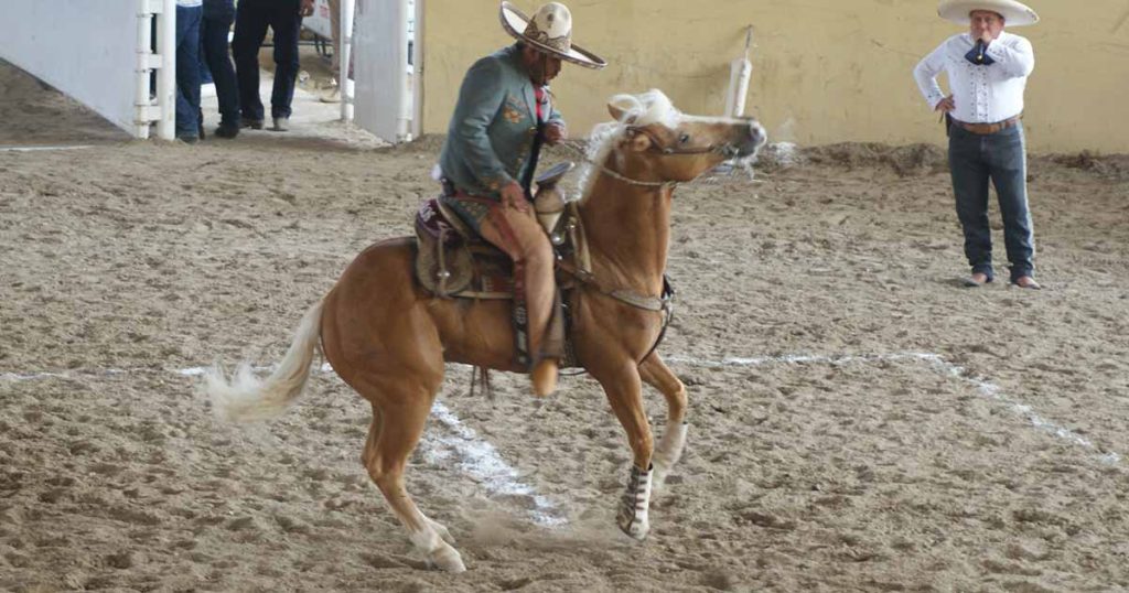 LAIR RUIZ, PÍCAROS DE TUXTLA