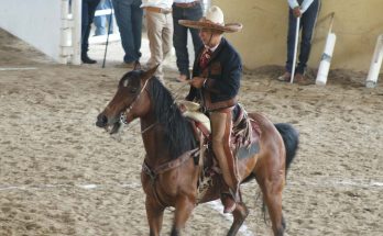 PÍCAROS DE TUXTLA, ANTONIO ROJAS TOVILLA