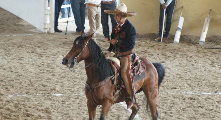 PÍCAROS DE TUXTLA, ANTONIO ROJAS TOVILLA