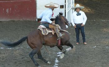 Torneo San Isidro Labrador