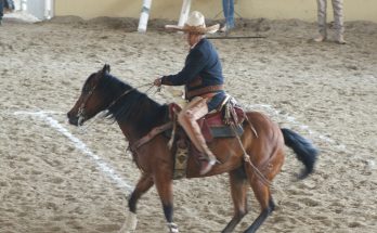 Pícaros de Tuxtla, Circuito Millonario AA