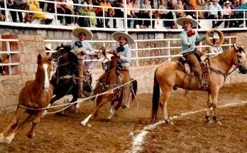 Rancho El Soyate, Estatal Zacatecas 2024