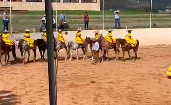 Caballito de Palo, Villita de Guadalupe, Ocozocoautla de Espinosa