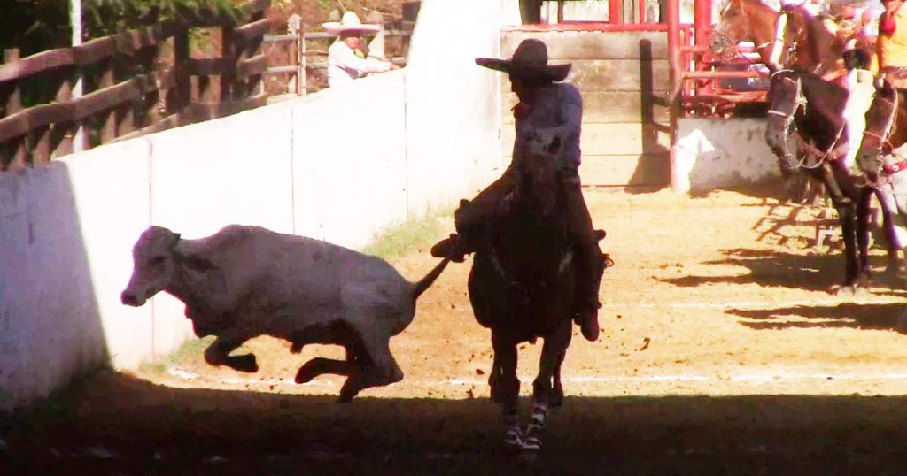 Guadalupana de Chilón, Circuito Charro Ruta del Café 2024, Ocosingo, campeones