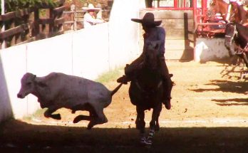 Guadalupana de Chilón, Circuito Charro Ruta del Café 2024, Ocosingo, campeones