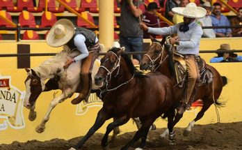 Tres Potrillos, líder, Campeonato Millonario 2024