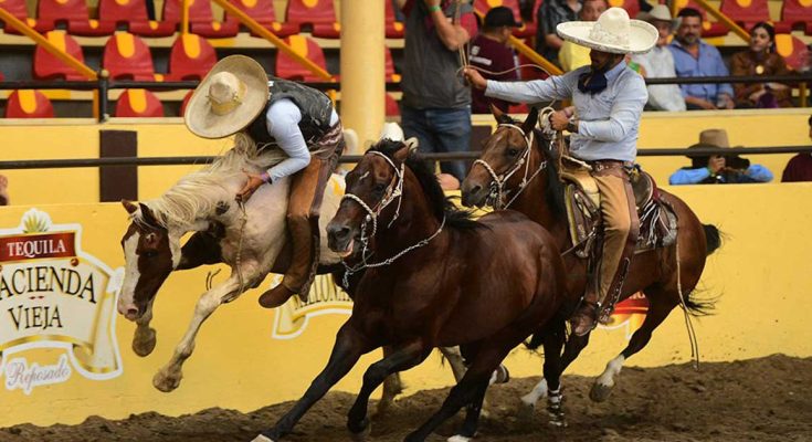 Tres Potrillos, líder, Campeonato Millonario 2024