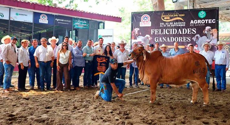 Rancho El Refugio, Muestra Mexicana del Cebú 2024, Tabasco