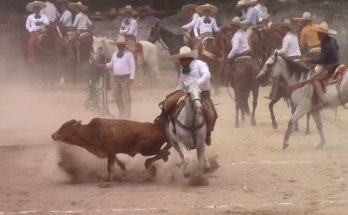 Rancho San Luis, Circuito Charro Ruta del Café