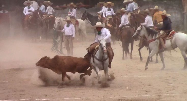 Rancho San Luis, Circuito Charro Ruta del Café