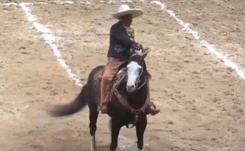 RG2, campeonato nacional 2024, arena potosí, san luis potosí