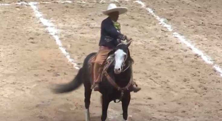 RG2, campeonato nacional 2024, arena potosí, san luis potosí