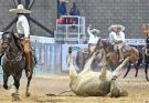 Tres Regalos, Campeonato Nacional 2024, San Luis Potosí