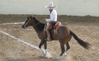 Charros de La Chiapaneca, Feria Chiapas 2024, torneo