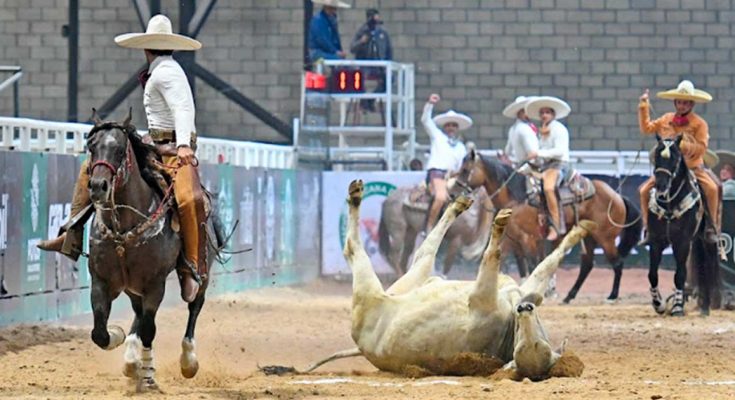 Tres Potrillos, Hacienda de Guadalupe, Campeonato Nacional 2024, San Luis Potosí