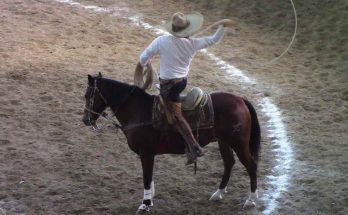 Charros MVP, Torneo Murillo Ranch 2024