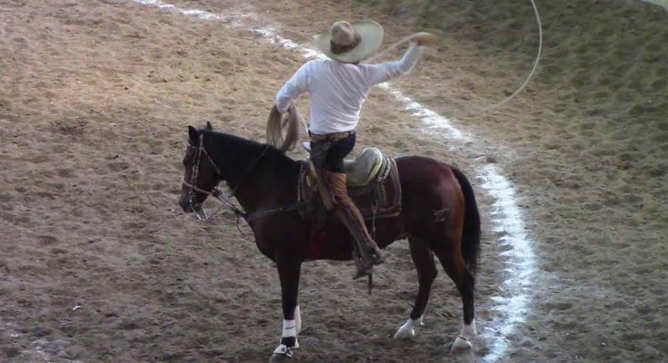 Charros MVP, Torneo Murillo Ranch 2024