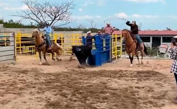 Team Roping en Chiapas