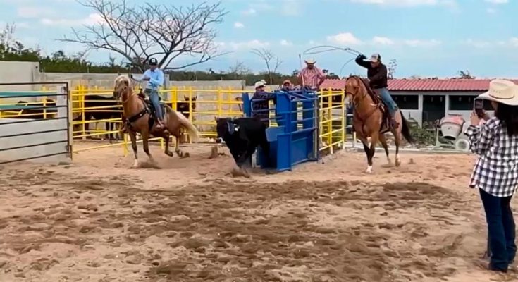 Team Roping en Chiapas