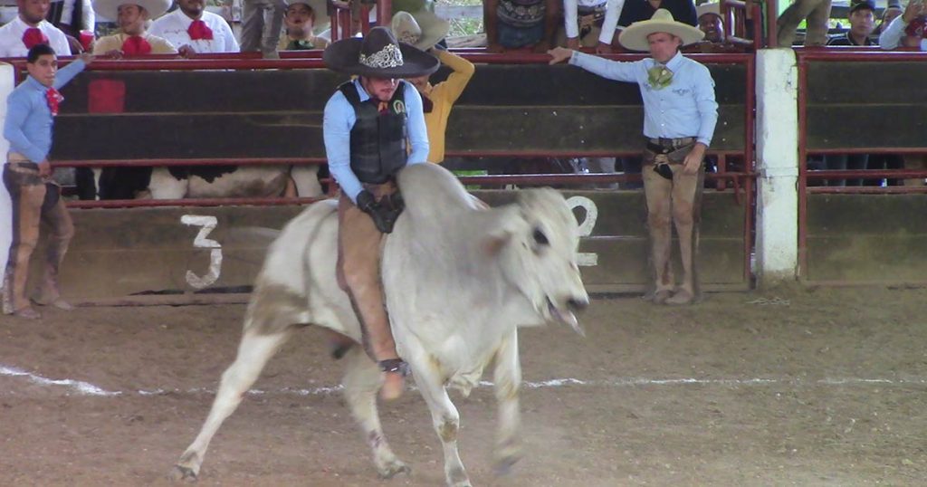 Alex Pinto, jineteo de toro, Rancho Miramar