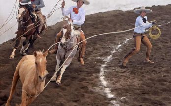 El Cócono, campones Torneo Aniversario 91 FMCH, Guanajuato