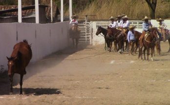 Rancho San José Jaltenango, Villacorzo, Lienzo El Rosario