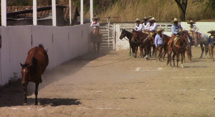 Rancho San José Jaltenango, Villacorzo, Lienzo El Rosario