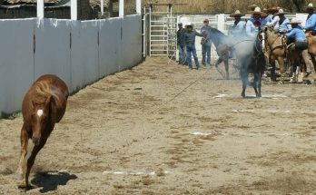 Torneo En Honor A La Virgen del Rosario, Villacorzo, Chiapas, Charrería