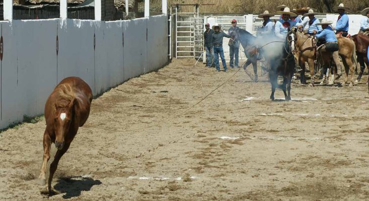 Torneo En Honor A La Virgen del Rosario, Villacorzo, Chiapas, Charrería