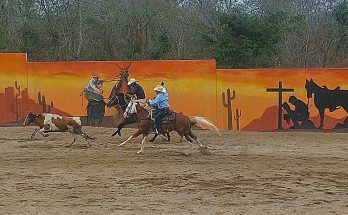 Circuito Poblazón 2025, team roping