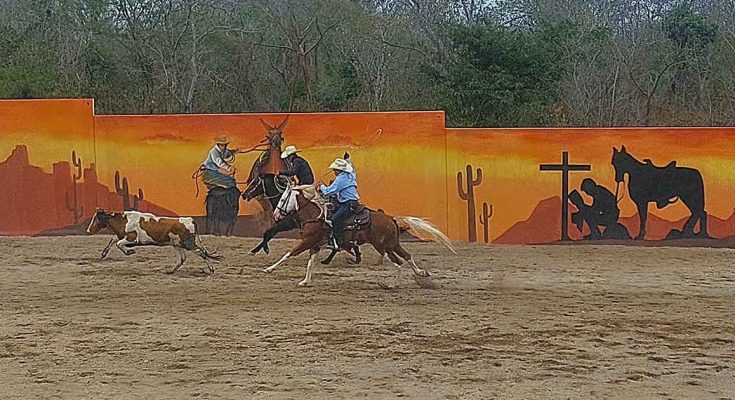 Circuito Poblazón 2025, team roping